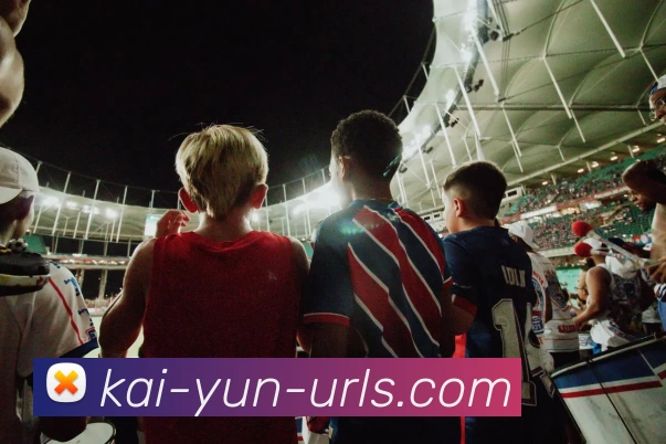 kaiyun平台生态图